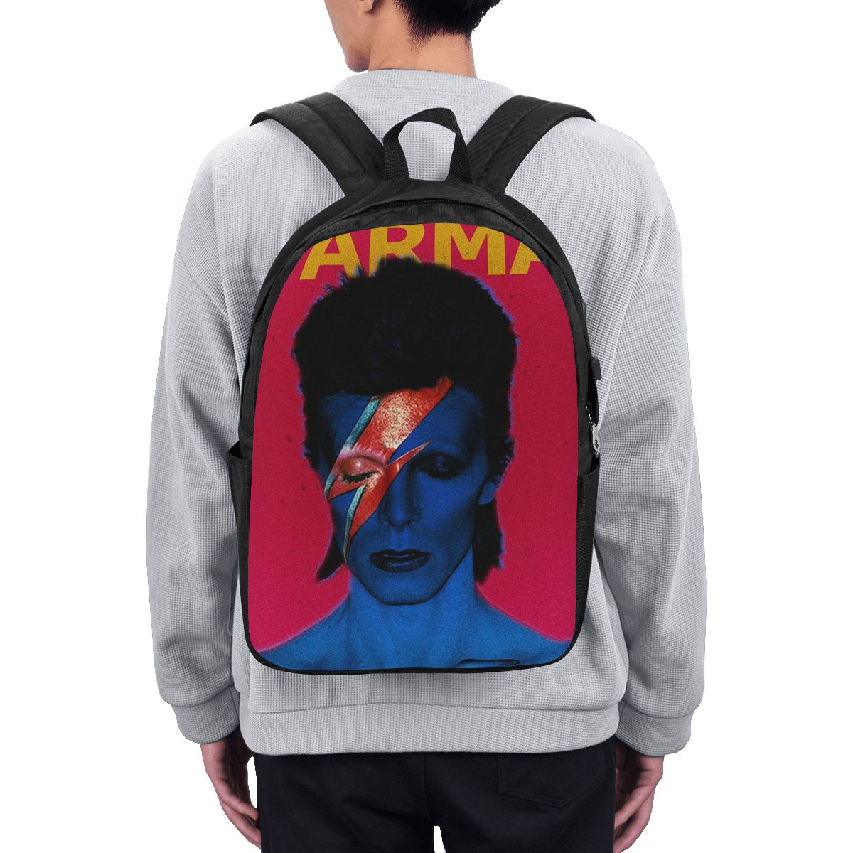 Рюкзак Davids Bowied, дорожная – обзор и цена Laptop Bag